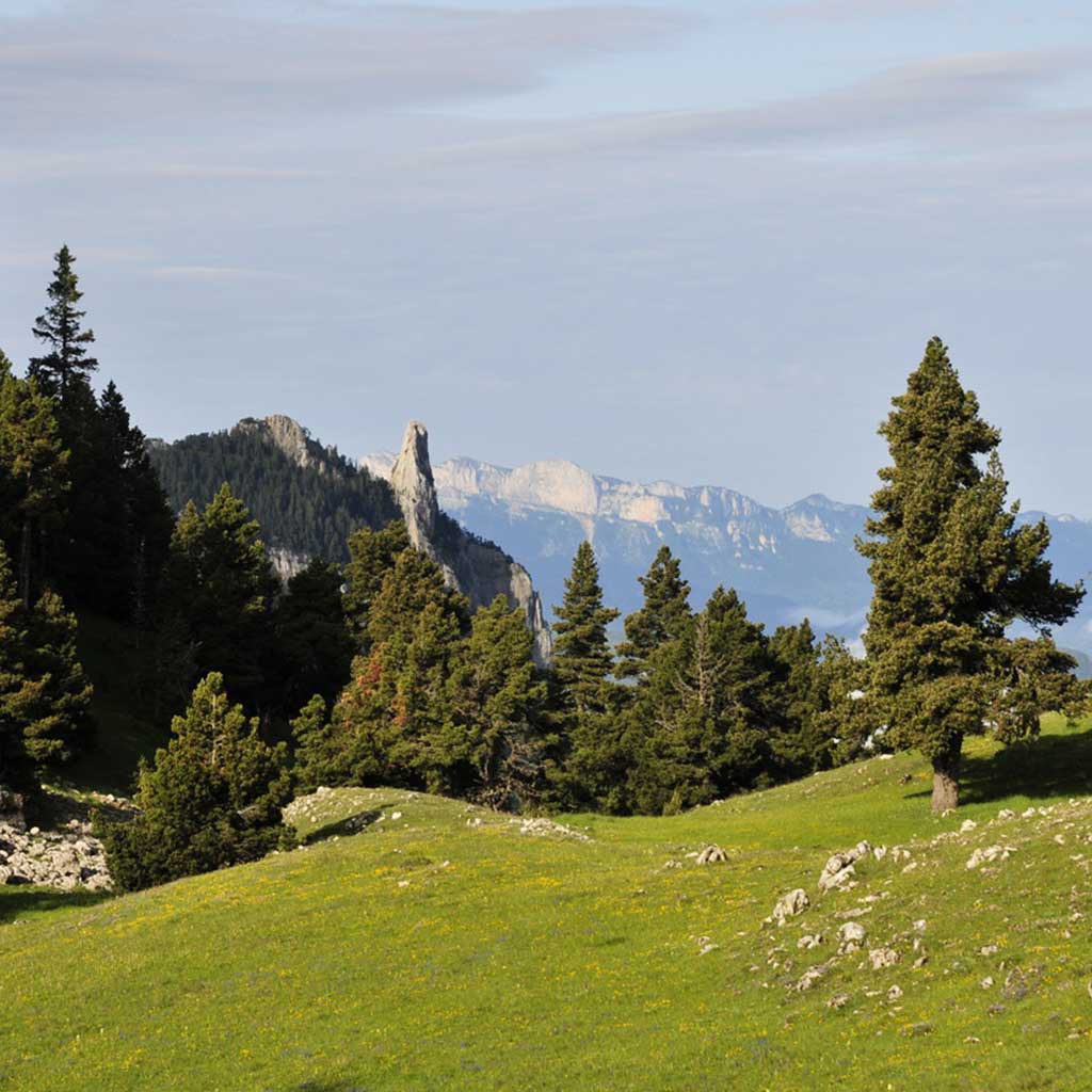 vercors-paysage-min