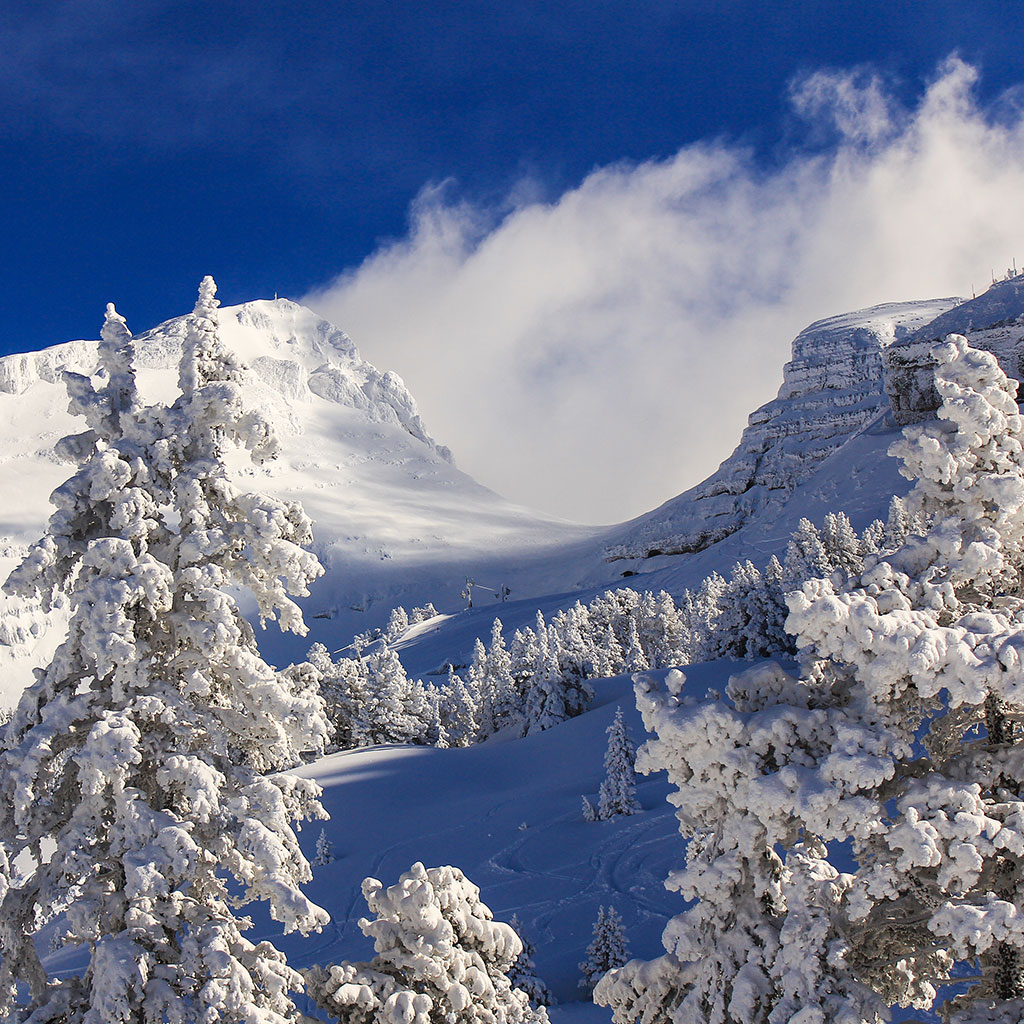 villard-de-lans-afrat-min